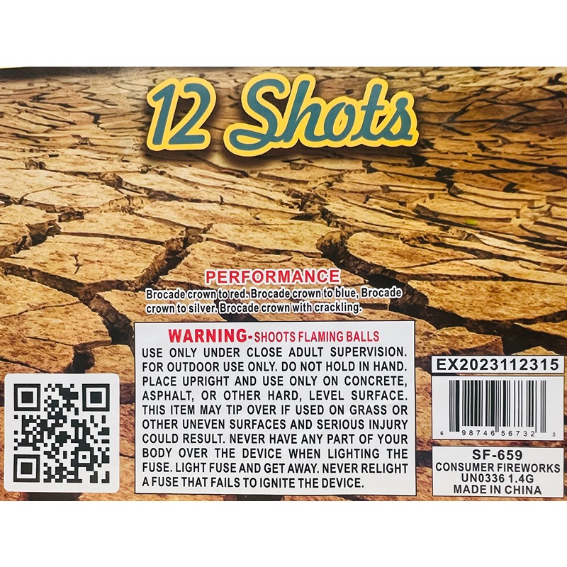 earth 12 shots cake