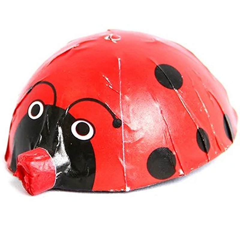 lady bug